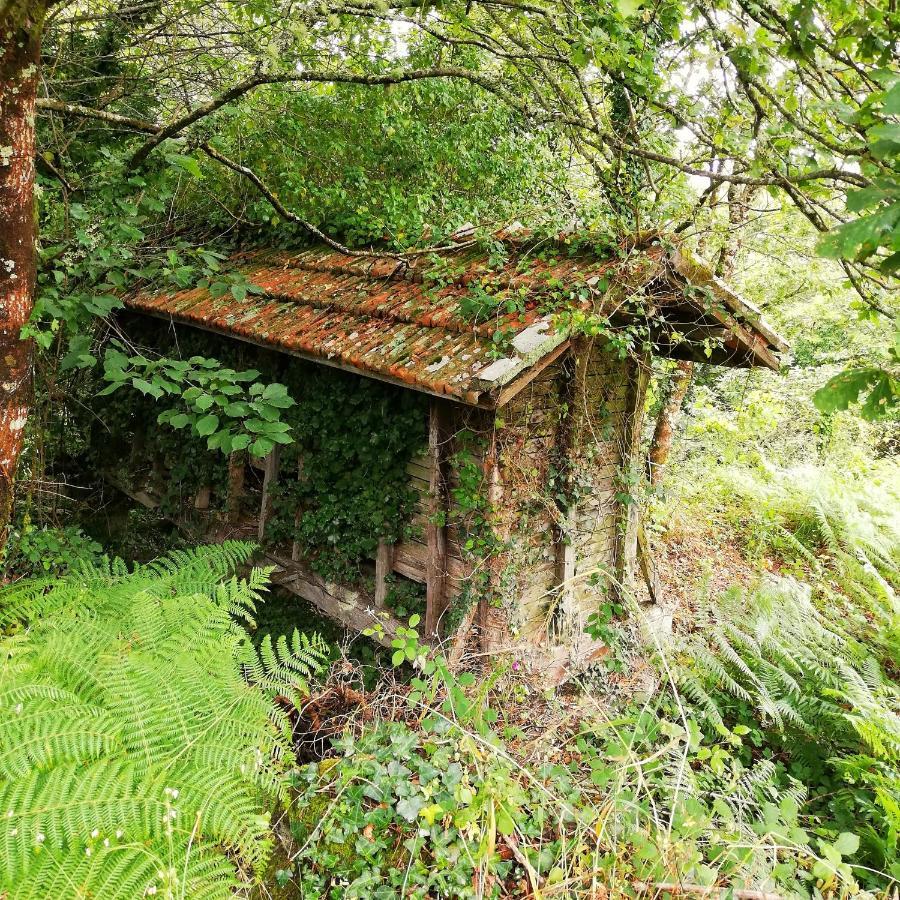 Casa do Cruzeiro Paredes de Coura Exterior foto